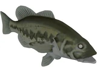 Bass 3D Model