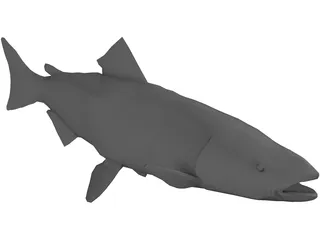 Salmon 3D Model