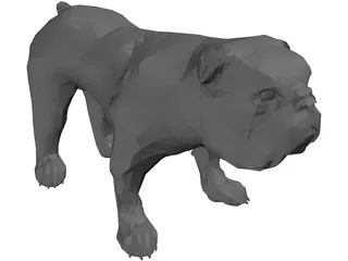 Dog Bulldog 3D Model