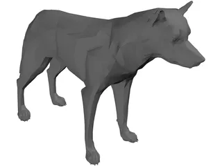 Coyote 3D Model