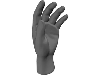 Hand 3D Model