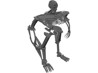 Warrior Skeleton 3D Model