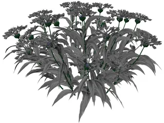 Centaurea Montana 3D Model