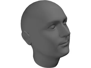 Human Head 3D Model