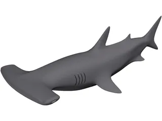 Shark 3D Model