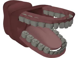 Mouth 3D Model