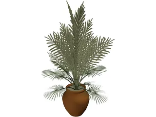 Large Potted House Plant 3D Model