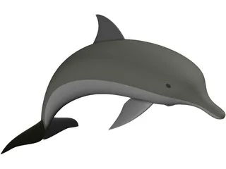 Dolphin 3D Model