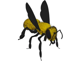 Bee with Fur 3D Model