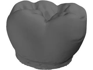 Molar Tooth 3D Model