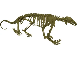 Skeleton Prehistoric 3D Model