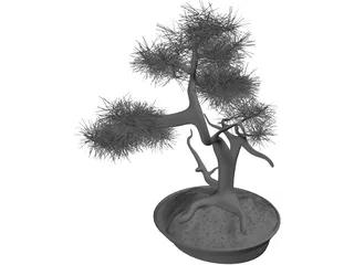 Bonsai Tree 3D Model