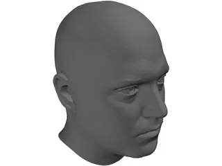 Human Male Scanned Head 3D Model