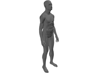 Man Human 3D Model