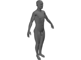 Man 3D Model