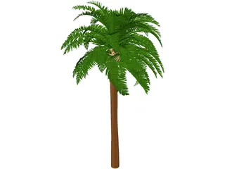 Coconut Tree 3D Model