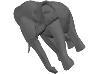 Elephant 3D Model