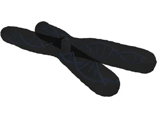 Human Chromosome 3D Model