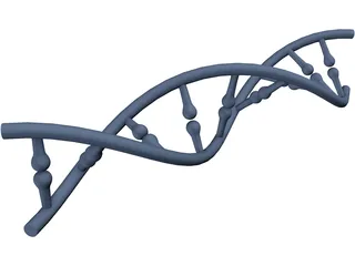 DNA 3D Model