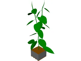 Bell Pepper Plant 3D Model