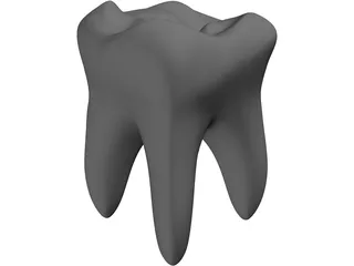 Tooth 3D Model