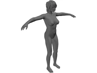 Female Anatomy Complete 3D Model