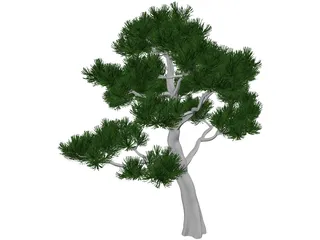 Pine Tree 3D Model