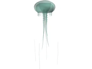 Jellyfish 3D Model