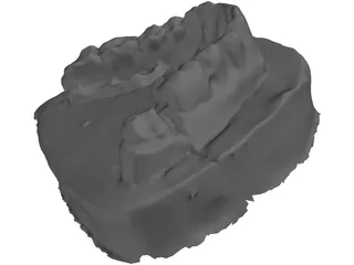 Teeth Stamp 3D Model
