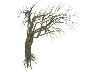 Dry Old Tree 3D Model