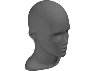 Human Head and Neck 3D Model
