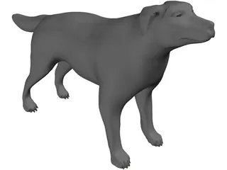 Dog 3D Model