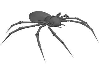 Poison Spider 3D Model