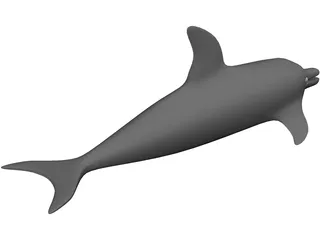 Dolphin 3D Model