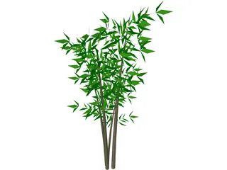 Bamboo Tree 3D Model