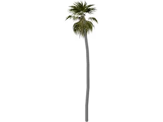 Tree Palm 3D Model