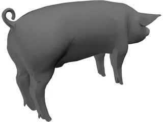 Pig 3D Model