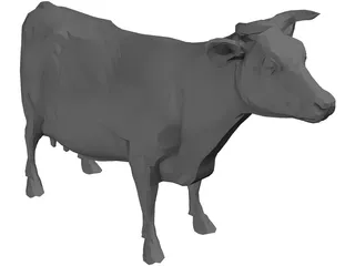 Bull Udder 3D Model