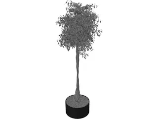 Arbol Tree 3D Model