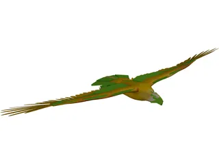 Eagle [Animated] 3D Model