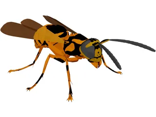 Wasp 3D Model