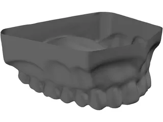 Teeth Upper Surface 3D Model