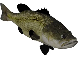 Largemouth Bass 3D Model