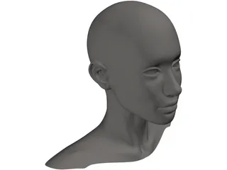 Head Female 3D Model