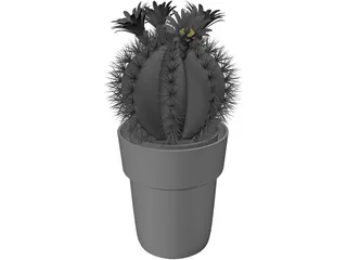 Cactus Pottet Round 3D Model