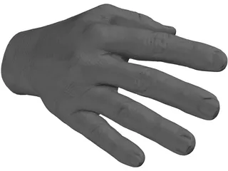 Right Hand Male 3D Model