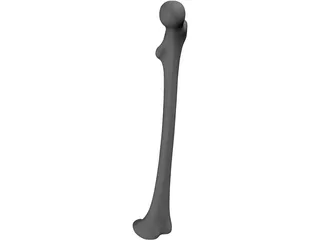 Femur Bone 3D Model