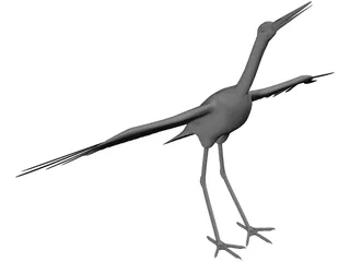 Ciconia Stork 3D Model