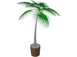 Palm Tree Plant 3D Model