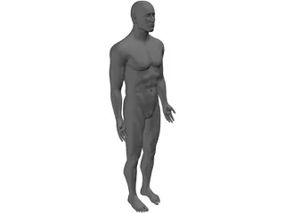 Man 3D Model